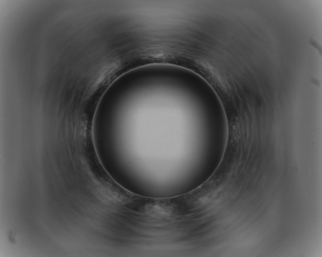 X0000092040739200709121153