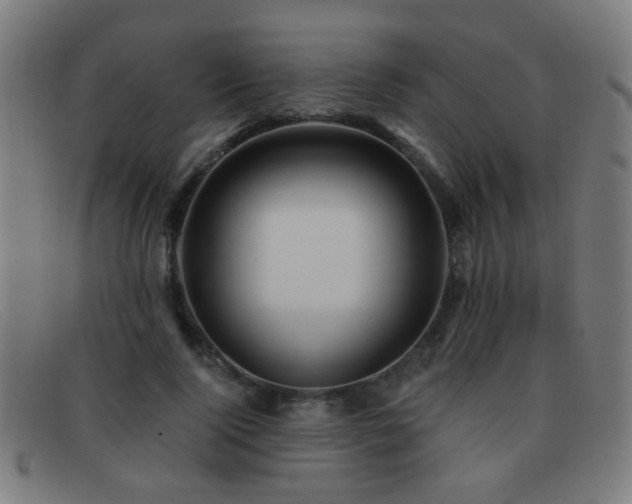 X0000092040740200709121153