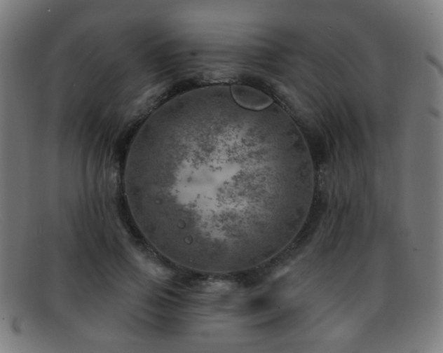 X0000092040741200709121153