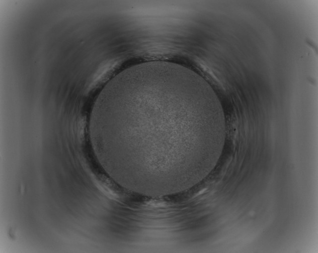 X0000092040742200709121153