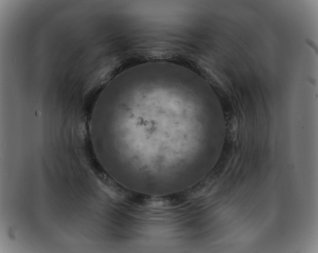 X0000092040746200709121153