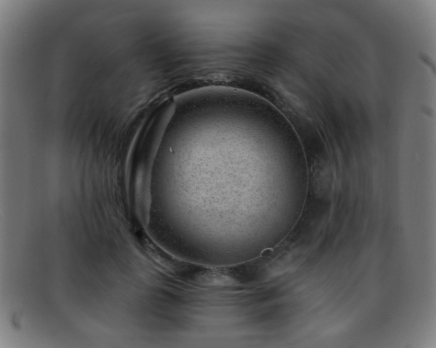 X0000092040747200709121153