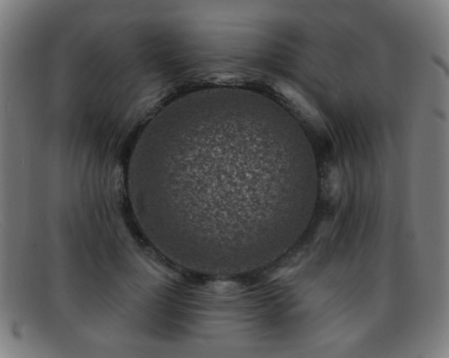 X0000092040748200709121153