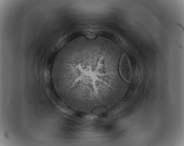 X0000092040749200709121153