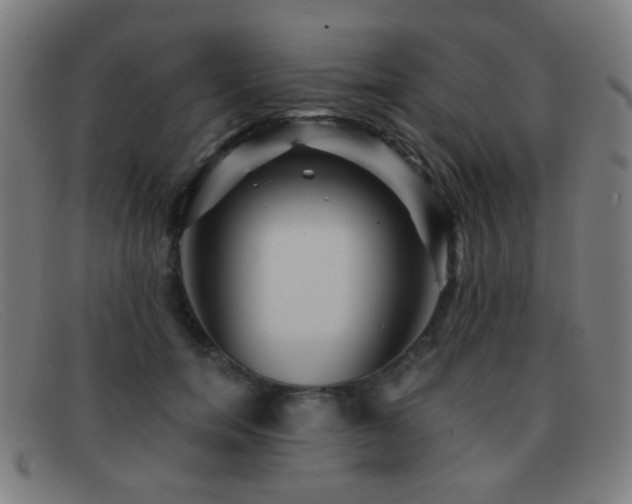 X0000092040750200709121153