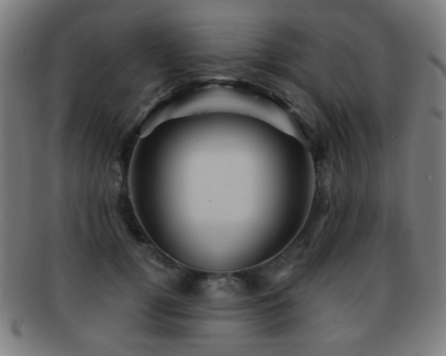 X0000092040752200709121153