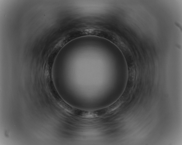 X0000092040754200709121153