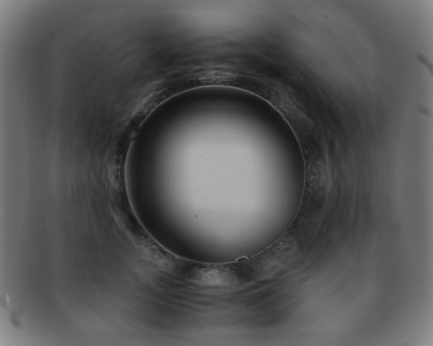 X0000092040755200709121153