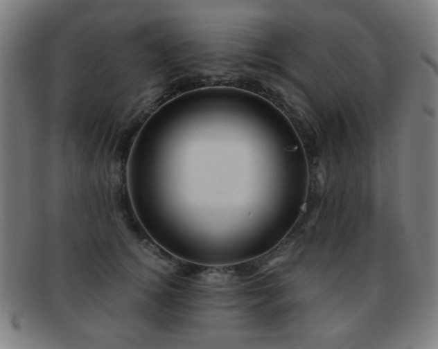 X0000092040756200709121153