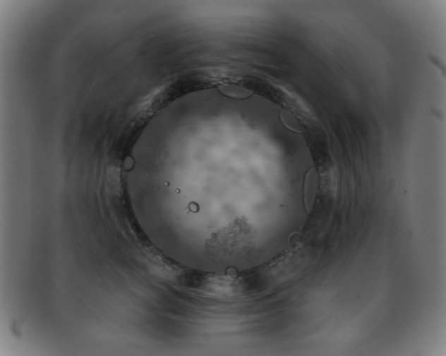 X0000092040757200709121153