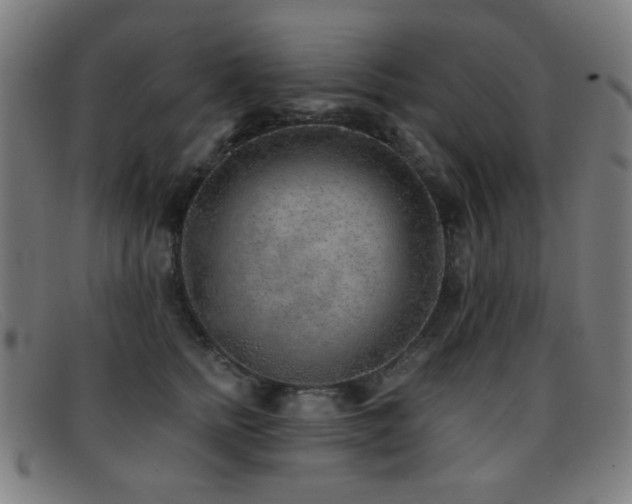 X0000092040758200709121153