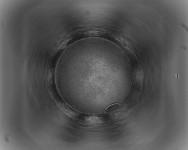 X0000092040759200709121153