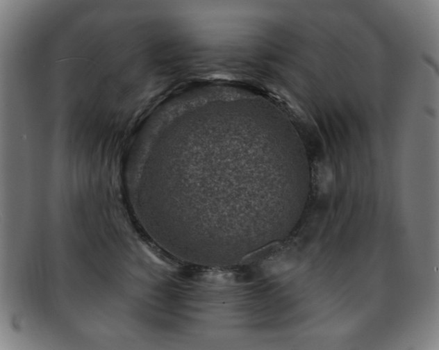 X0000092040760200709121153