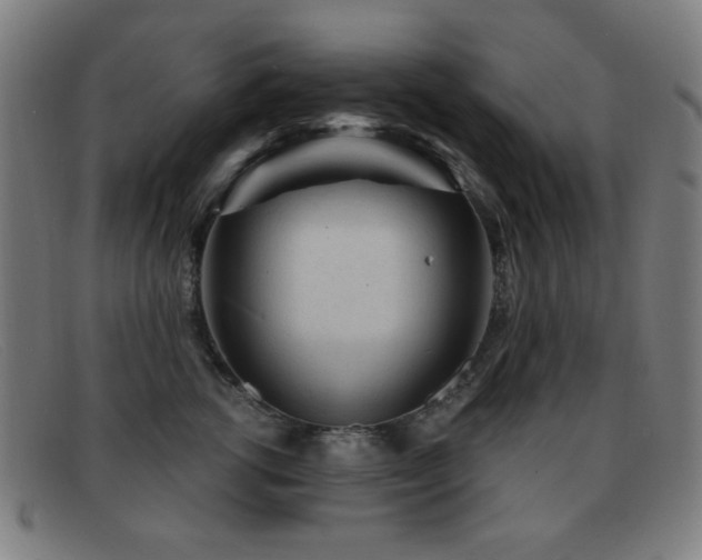 X0000092040762200709121153