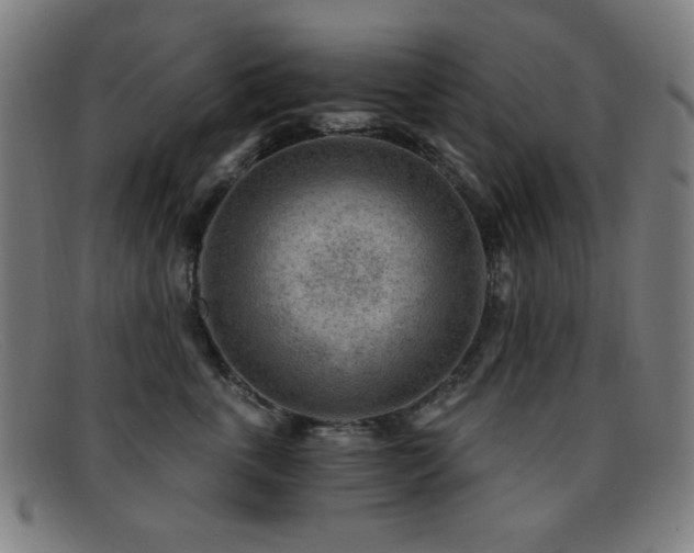 X0000092040763200709121153