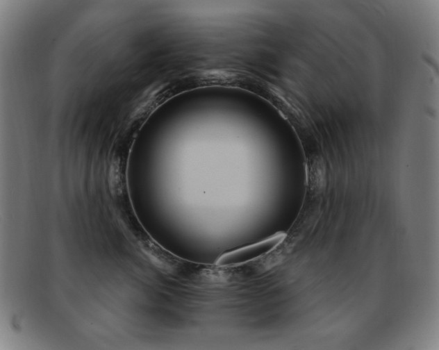 X0000092040764200709121153