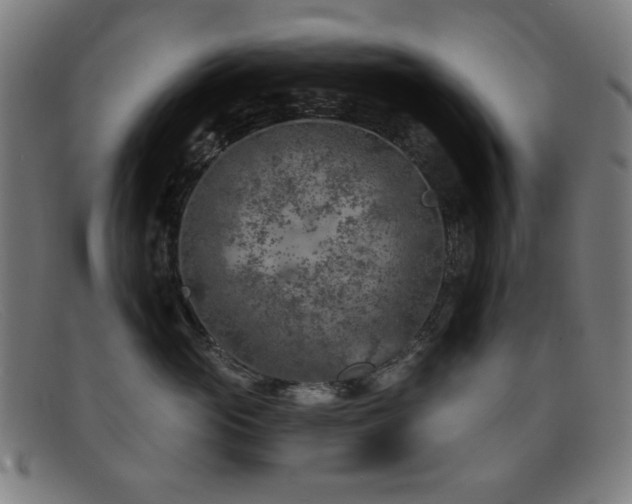 X0000092040765200709121153