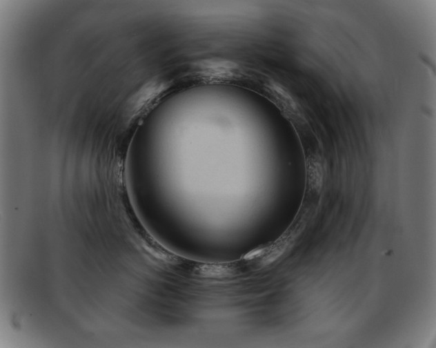 X0000092040766200709121153