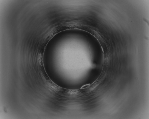 X0000092040767200709121153