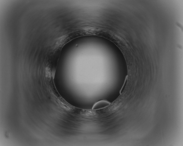 X0000092040768200709121153