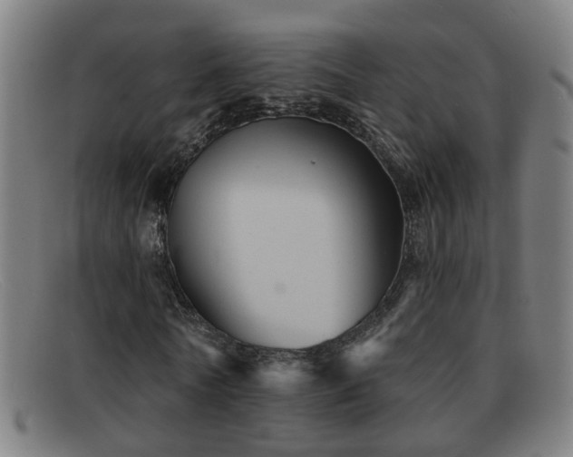 X0000092040770200709121153