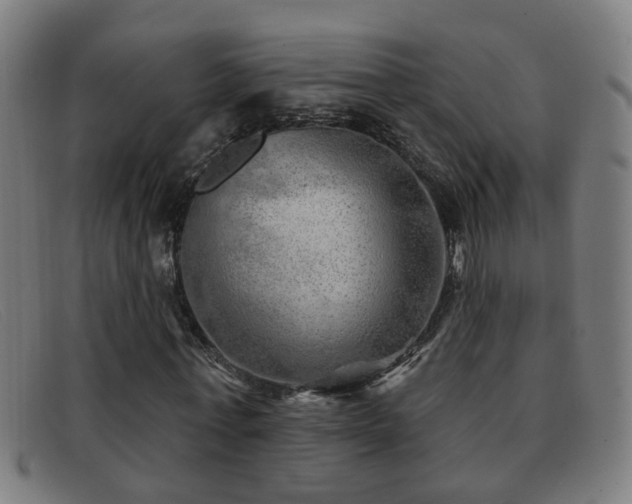 X0000092040771200709121153