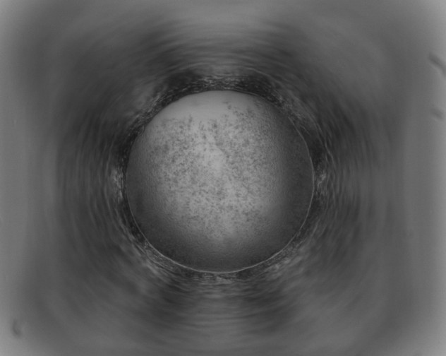 X0000092040772200709121153