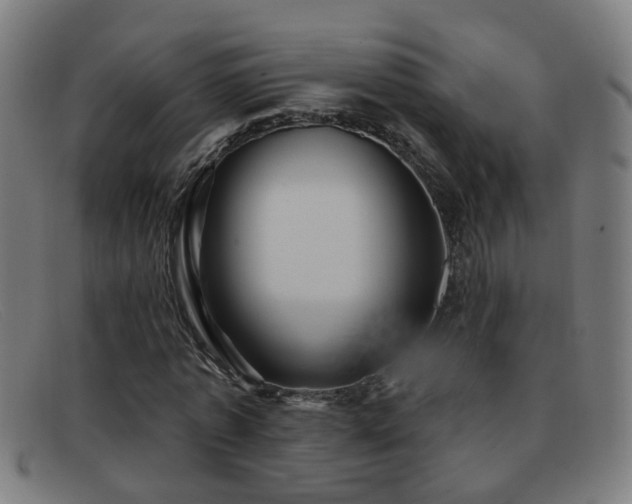 X0000092040773200709121153