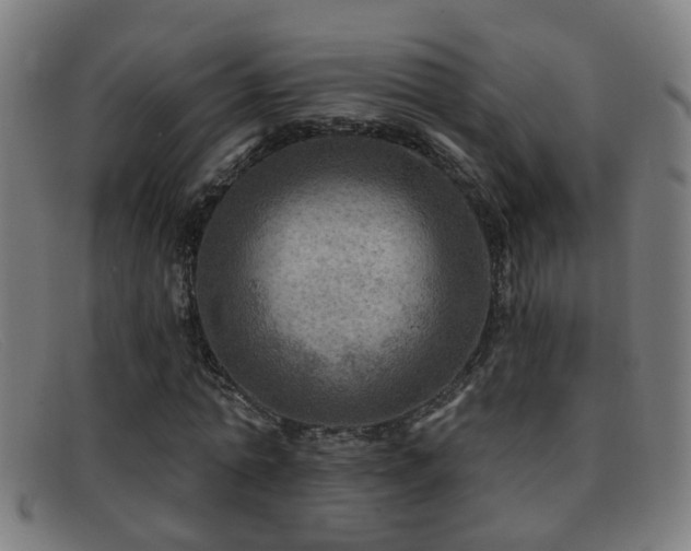 X0000092040774200709121153