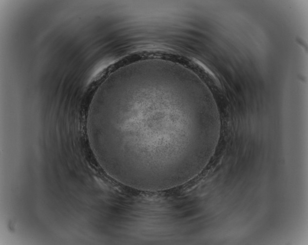 X0000092040775200709121153