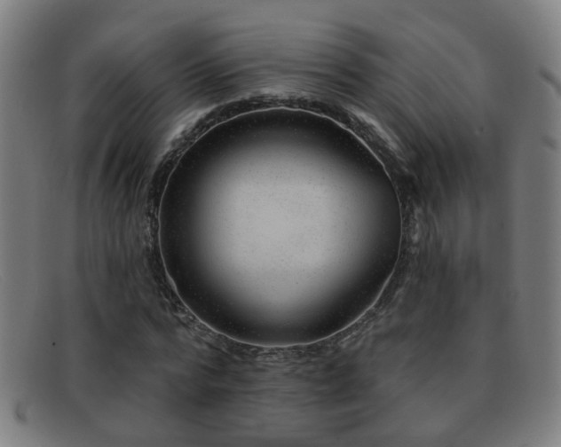 X0000092040776200709121153