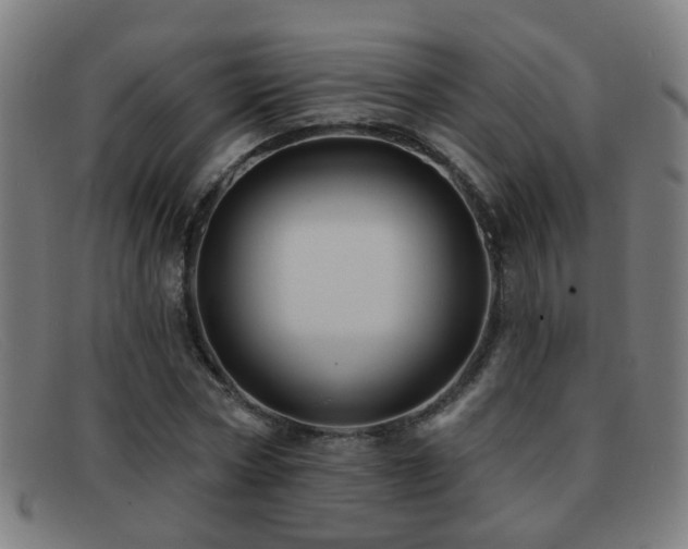 X0000092040778200709121153