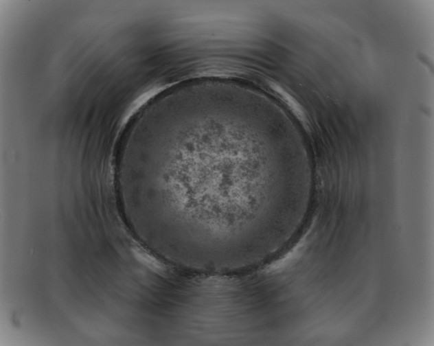 X0000092040779200709121153