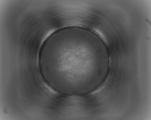 X0000092040780200709121153