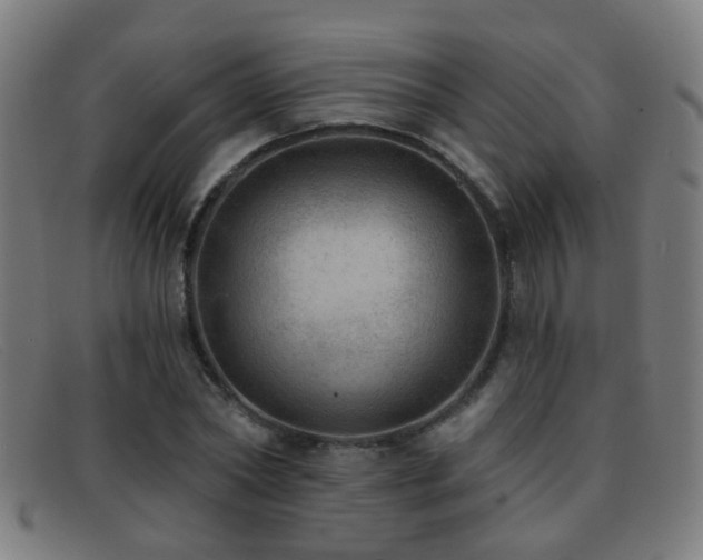 X0000092040782200709121152