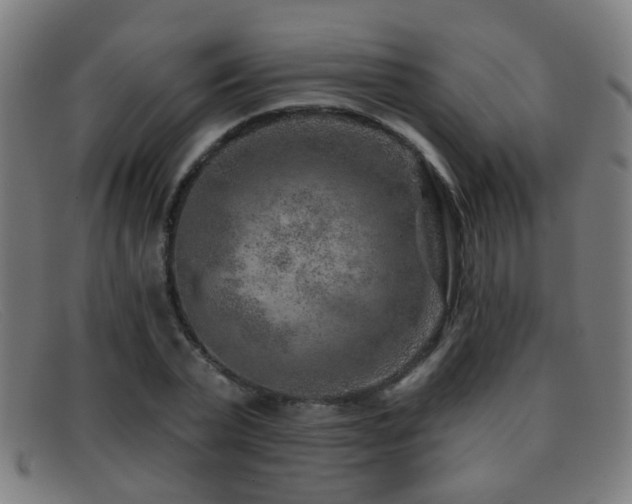 X0000092040783200709121152