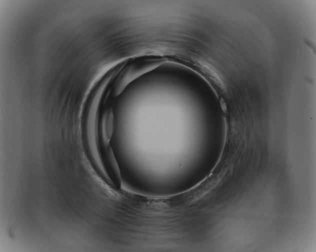 X0000092040784200709121152