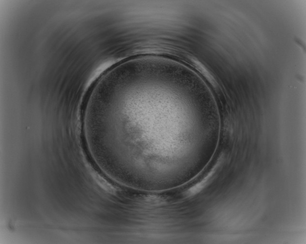 X0000092040787200709121152