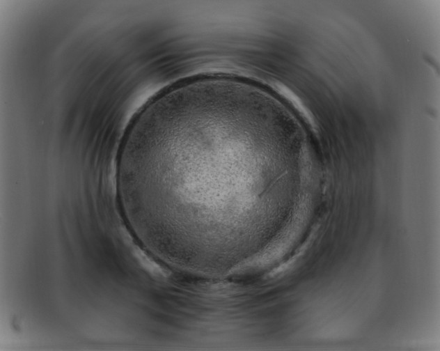 X0000092040791200709121152