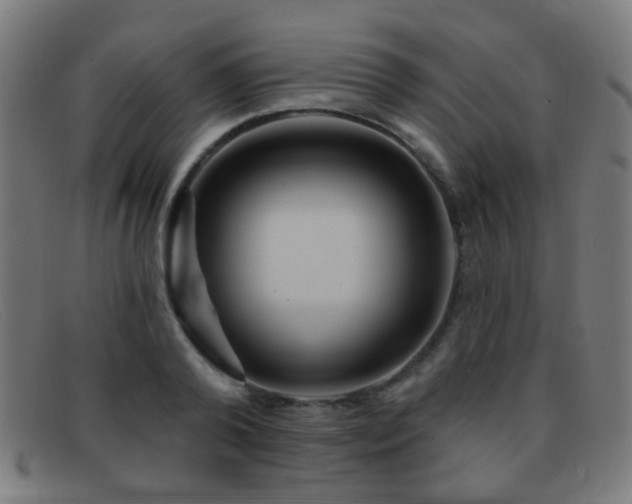 X0000092040792200709121152