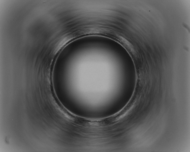 X0000092040794200709121152