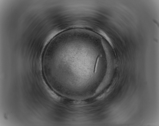 X0000092040795200709121152