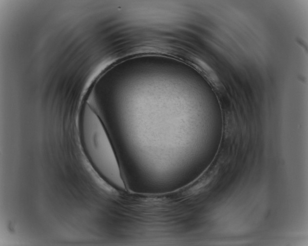 X0000092040796200709121152