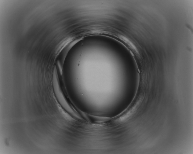 X0000092040801200709121152