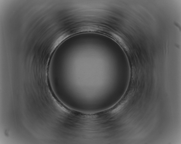 X0000092040802200709121152