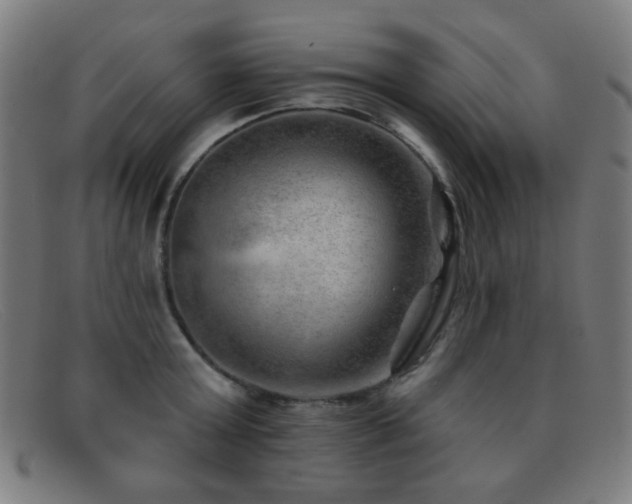 X0000092040803200709121152