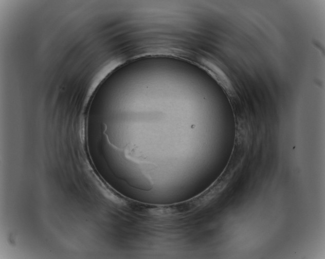 X0000092040804200709121152