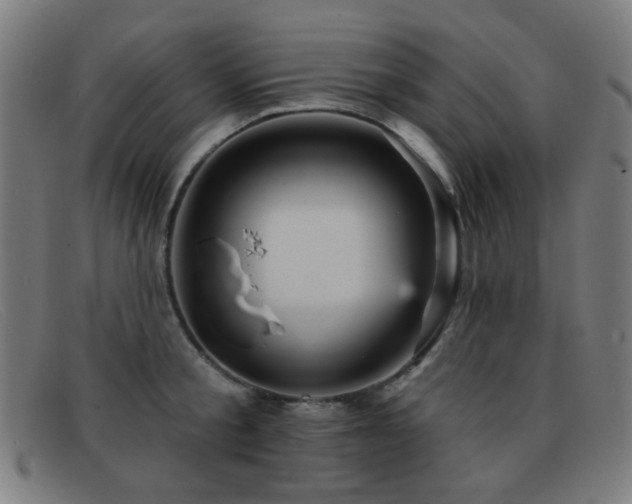 X0000092040805200709121152