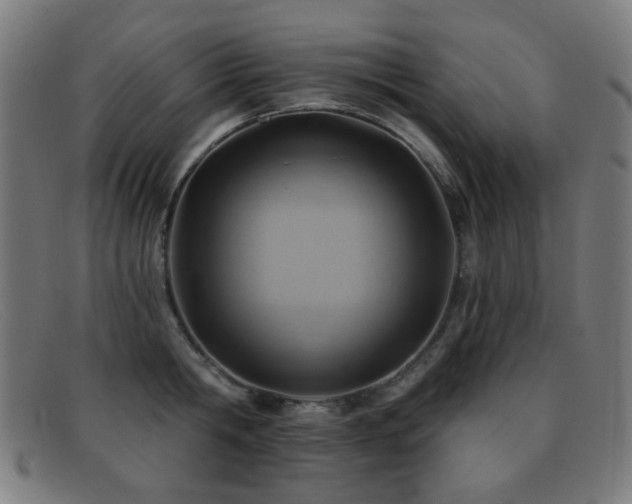 X0000092040806200709121152