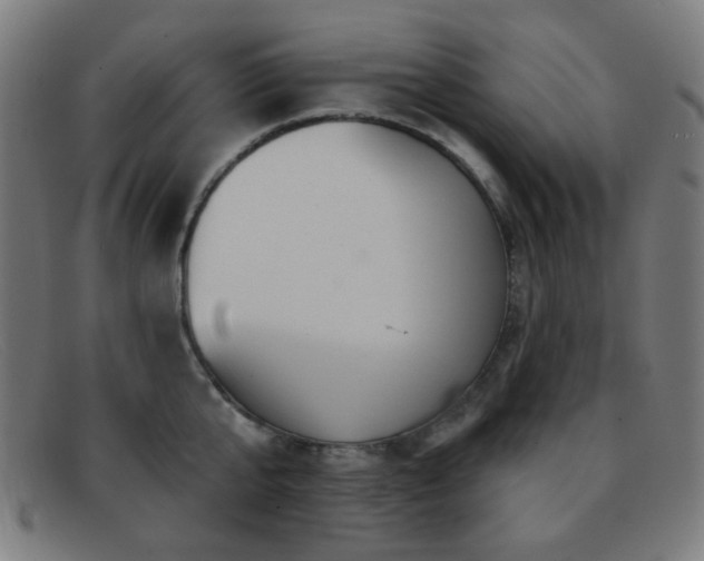 X0000092040807200709121152